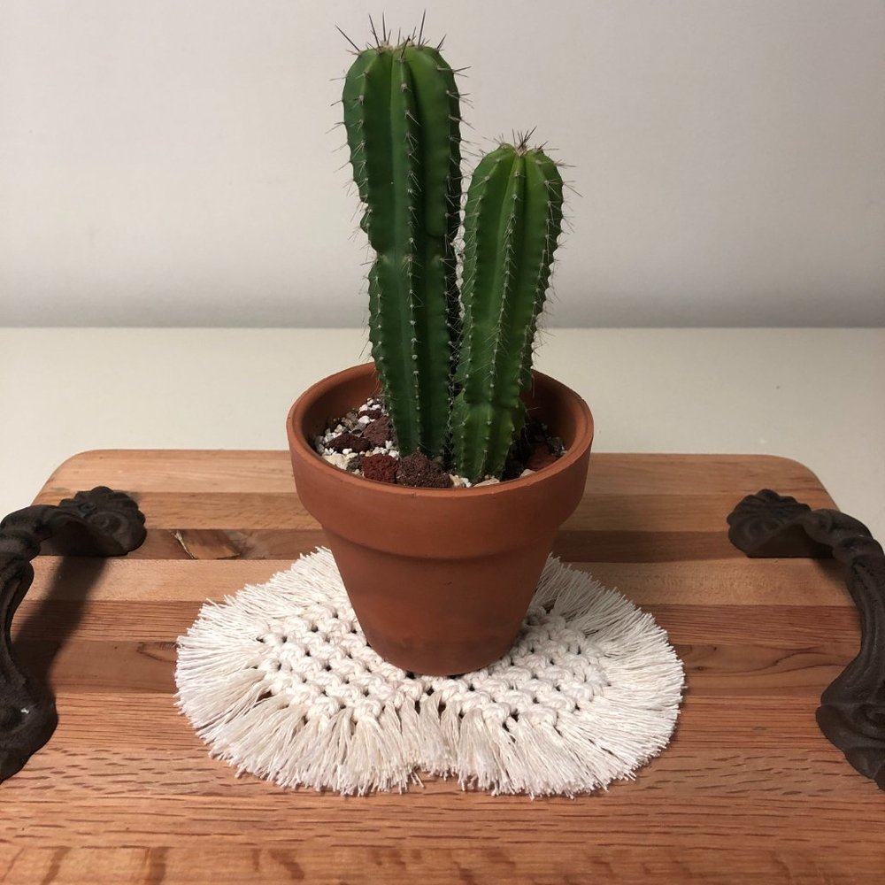 Handmade Boho 100% Cotton Macramé coasters - OFF WHITE. - Picture 4 of 11